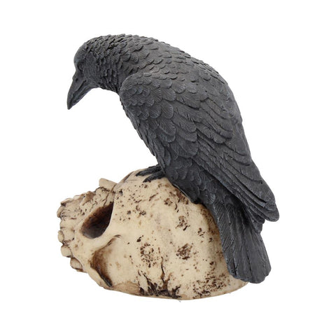 Raven Skull Incense Holder 25cm
